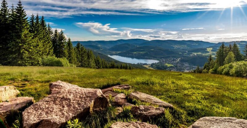 Zurich: Black Forest, Titisee, and Rhine Falls Bus Day Trip - Zurich: Black Forest, Titisee, and Rhine Falls Bus Day Trip — A Practical Guide