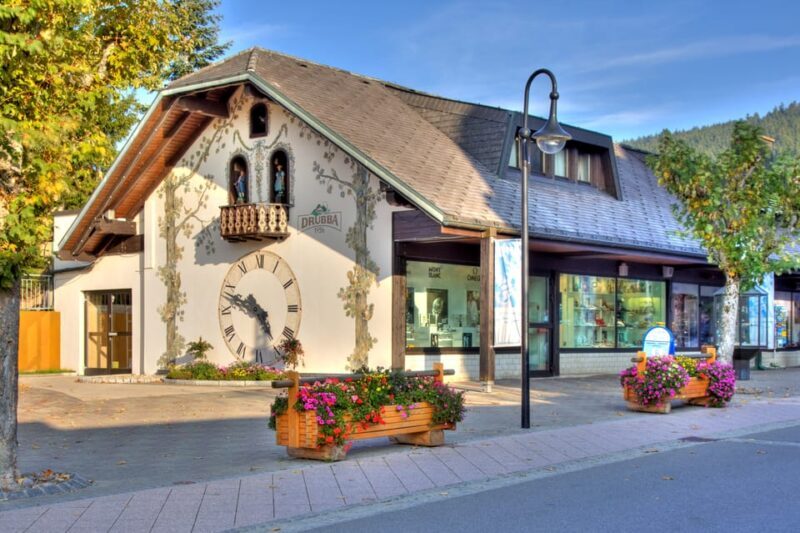 Zurich: Black Forest, Titisee, and Rhine Falls Bus Day Trip - Possible Drawbacks to Consider