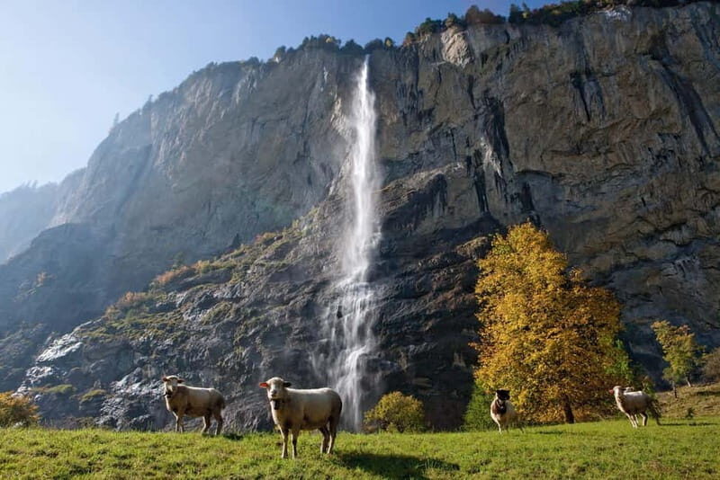 Zurich: Day Trip to Grindelwald, Interlaken & Lauterbrunnen - An In-Depth Look at the Swiss Alps Day Trip