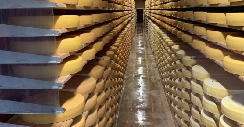 Zurich: Gruyères Castle, Cheese, Chocolate Private Day Tour - Key Points
