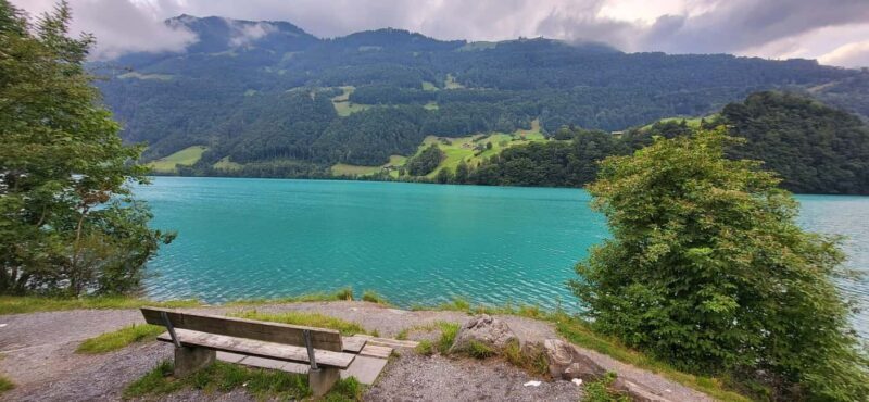 Zurich: Lungern, Brienz, Thun, Blausee, & Oeschinen Day Trip - Final thoughts
