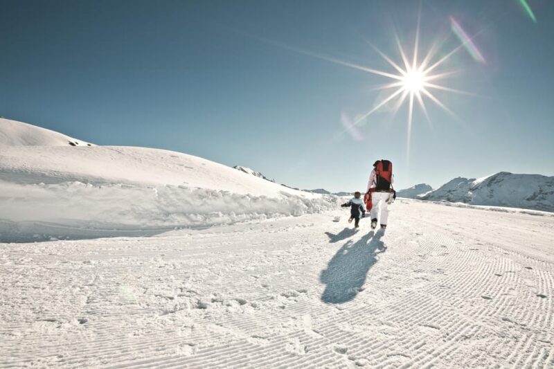 Zurich: Mount Titlis Snowmobile Adventure & Lucern Day Trip - The Sum Up
