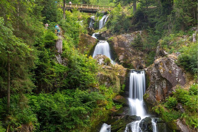 Zürich: Private Car Tour to Rhine Falls, Titisee and Black Forest - Final Thoughts: Is This Tour for You?