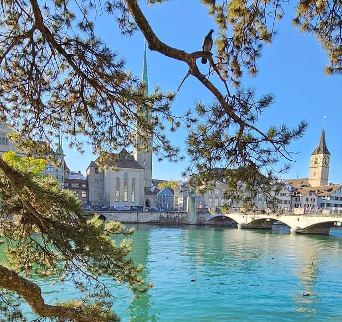 Zürich: Private Costumized Tour with Local Expert Tourguide - Key Points