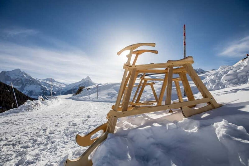 Zurich: Private Jungfraujoch & Thrilling Velogemel Adventure - Key Points