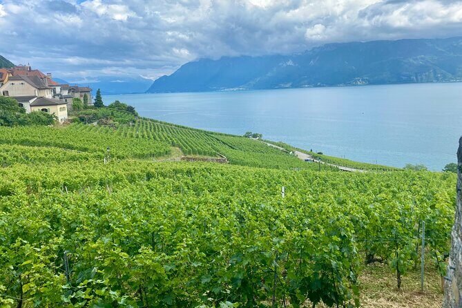Zurich Private Tour - Gruyères, Cheese, and Lavaux's UNESCO Wine - An Authentic Swiss Day: From Zurich to Cheese, History, and Vineyards