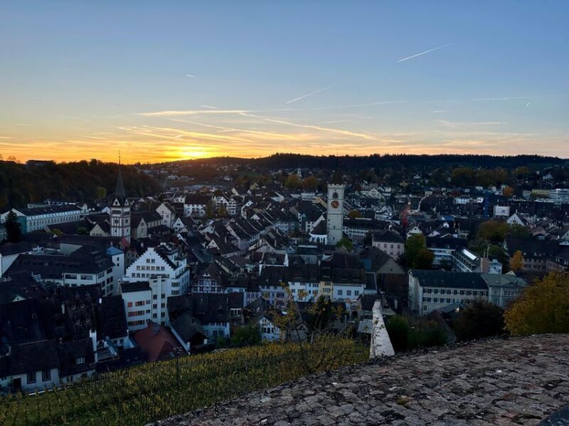 Zurich: Stein Am Rhein, Schaffhausen, & Rhine River Cruise - Who This Tour Is Best For