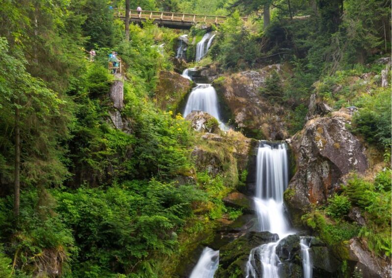Zürich:Private Car Tour- Rhine Falls, Titisee & Black Forest - A Complete Review of Zürich: Private Car Tour – Rhine Falls, Titisee & Black Forest